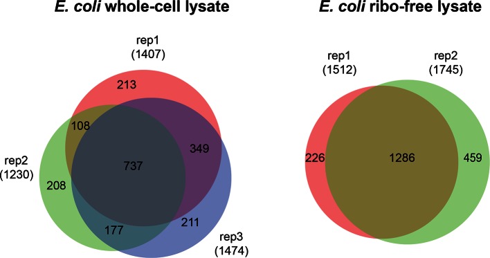 Figure 5—figure supplement 2.