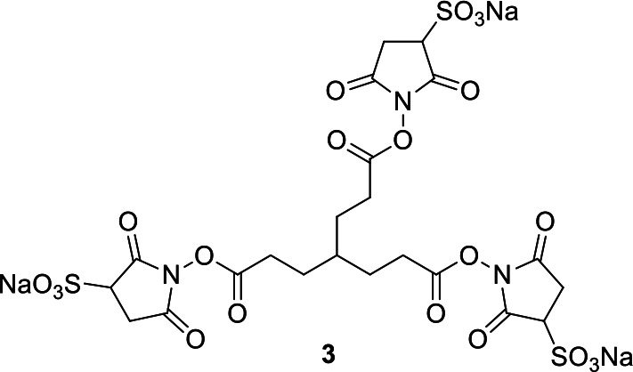 Appendix 1—figure 2.