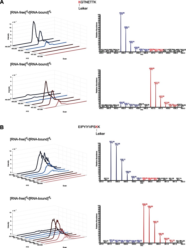 Figure 7—figure supplement 1.