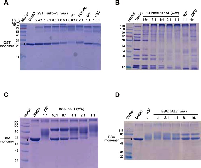 Figure 1—figure supplement 1.