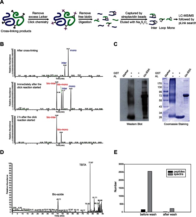 Figure 1—figure supplement 4.