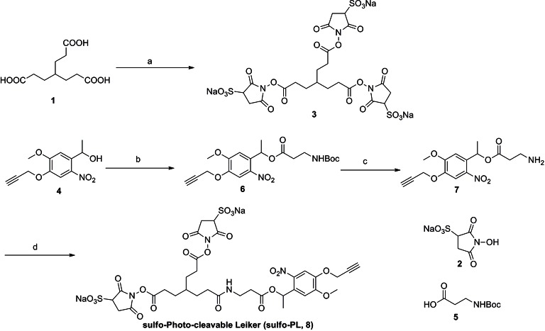 Appendix 1—figure 1.