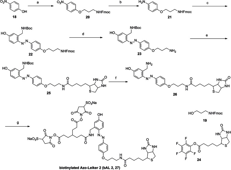 Appendix 1—figure 14.