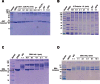Figure 1—figure supplement 1.