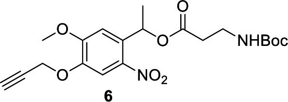 Appendix 1—figure 3.