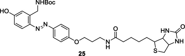 Appendix 1—figure 19.