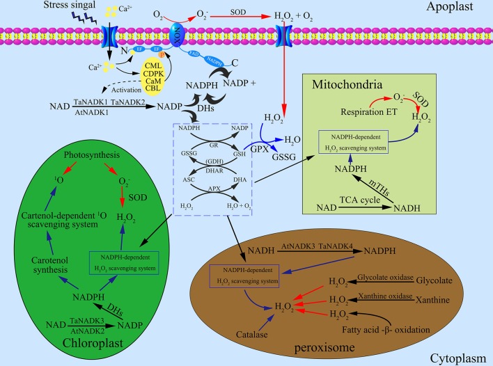 Figure 2