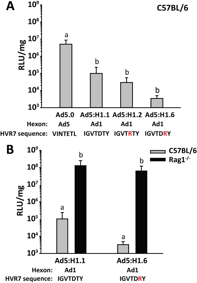 Fig 8