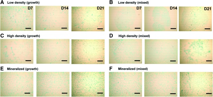 FIG. 6.