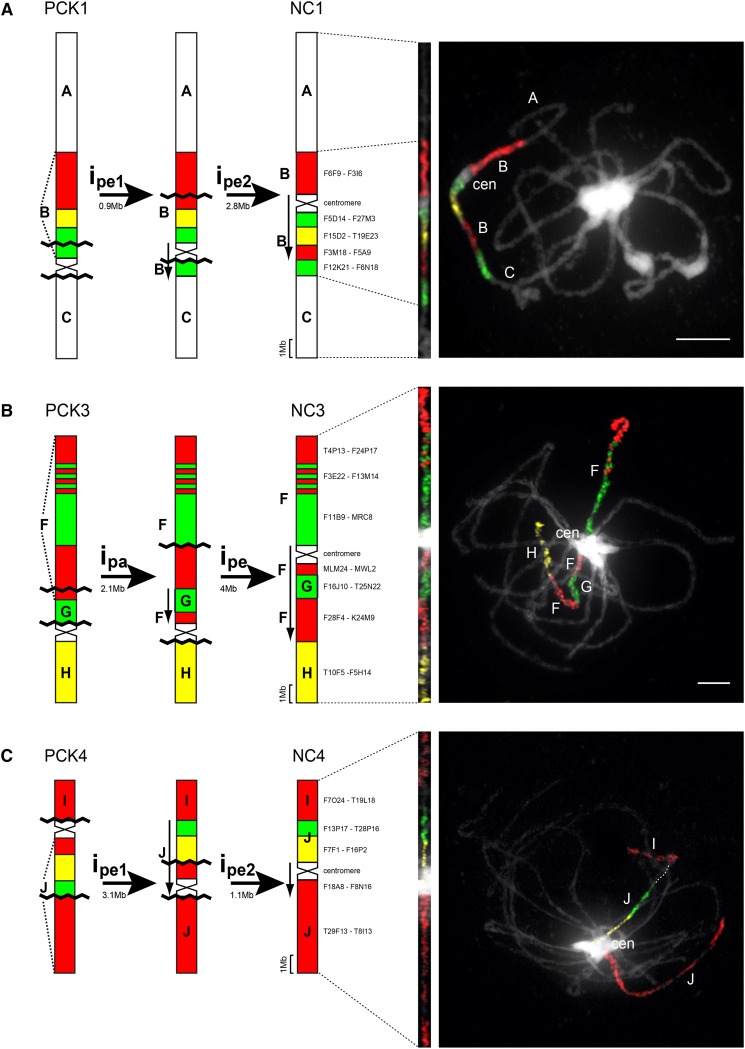 Figure 2.