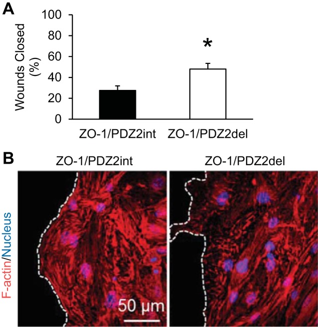 Fig. 8.