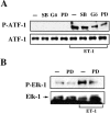 Fig. 9.