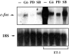 Fig. 10.