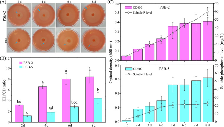 FIG 6