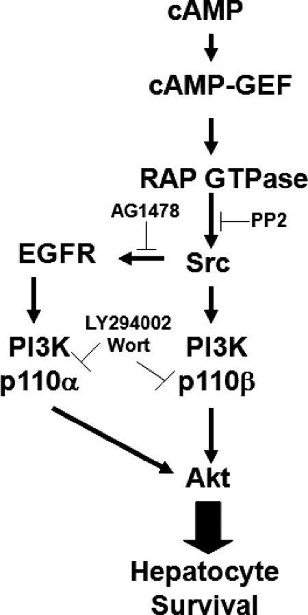 Fig. 9.