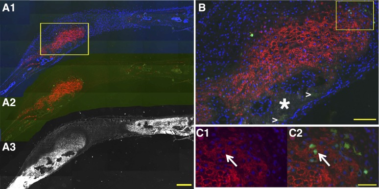 Figure 6.