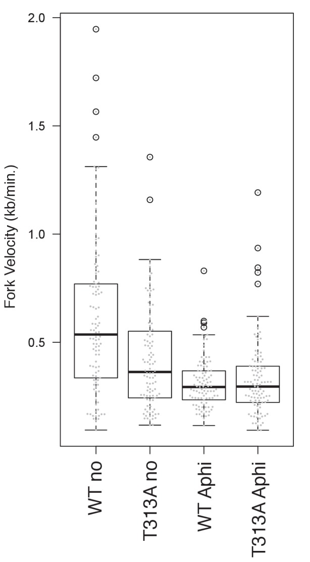 Figure 5—figure supplement 1.