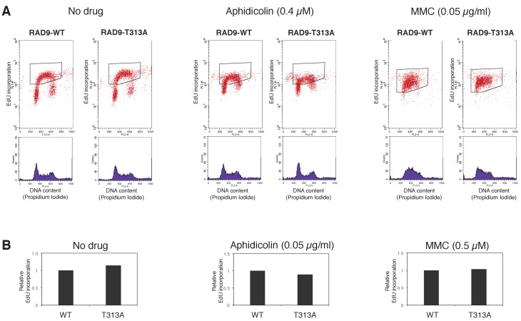 Figure 4—figure supplement 6.