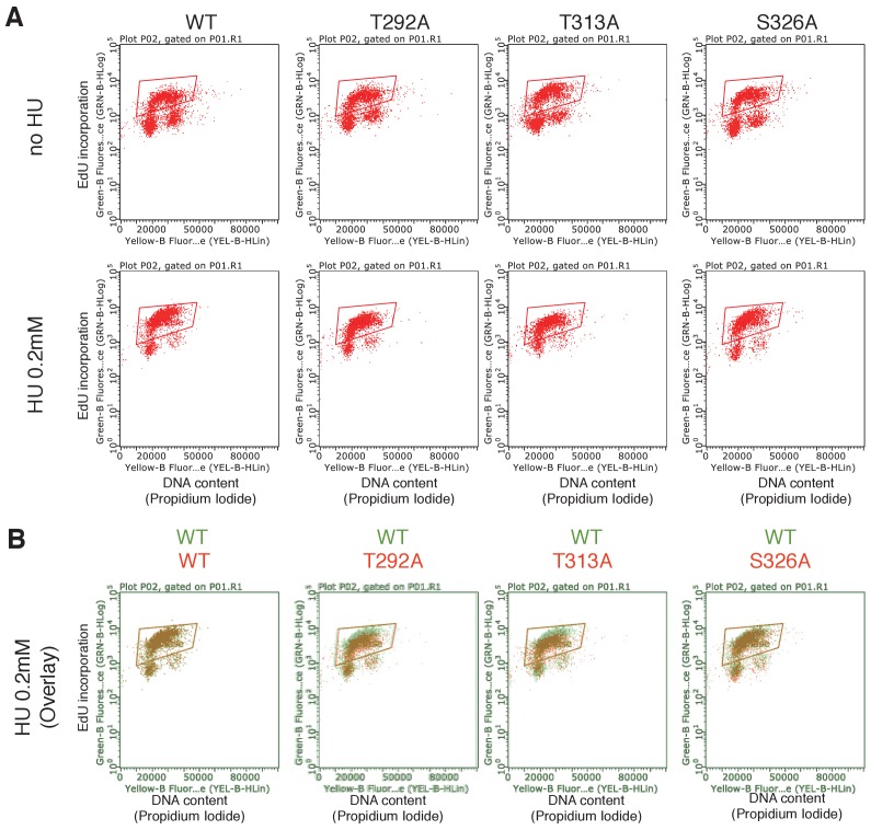 Figure 4—figure supplement 3.