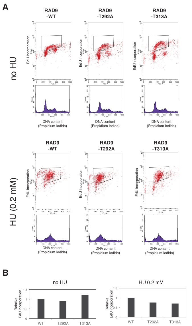 Figure 4—figure supplement 5.