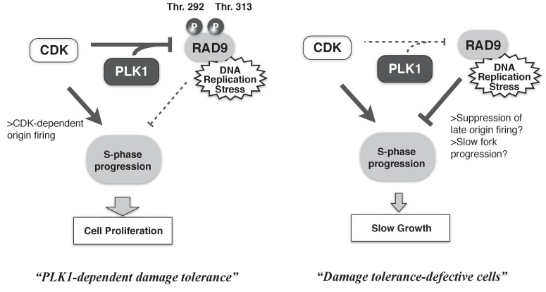 Figure 7.