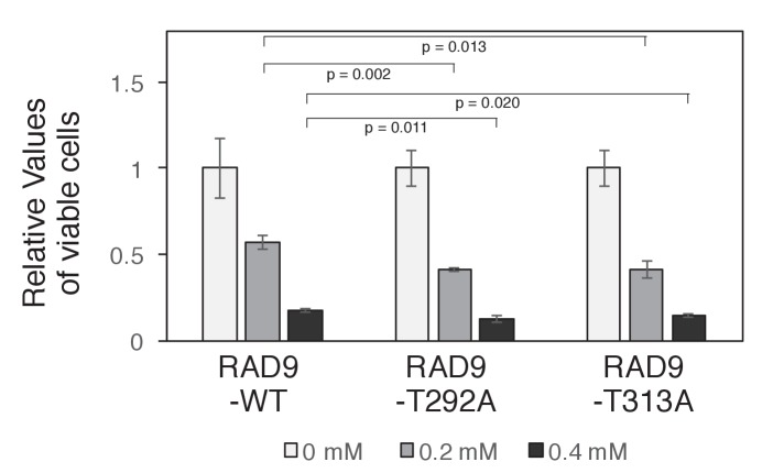 Figure 6—figure supplement 1.