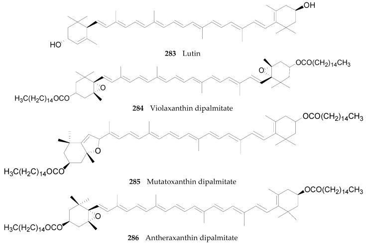 Figure 21