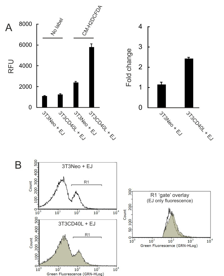 Figure 6.