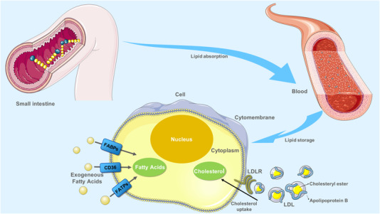 FIGURE 1