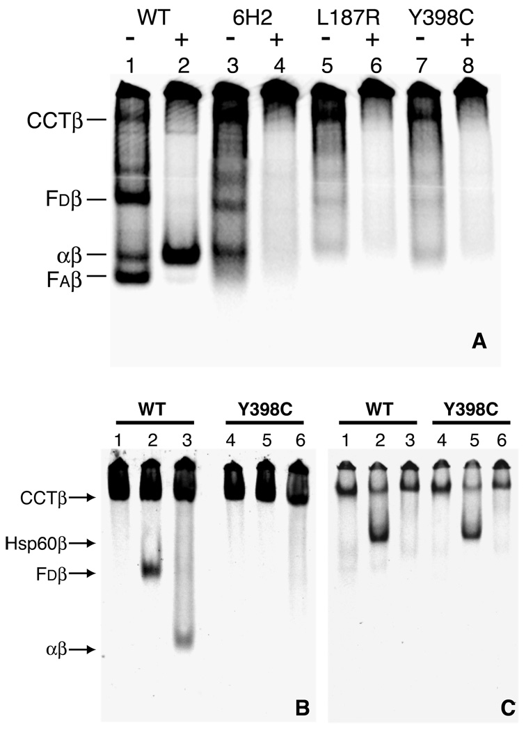 Fig. 6