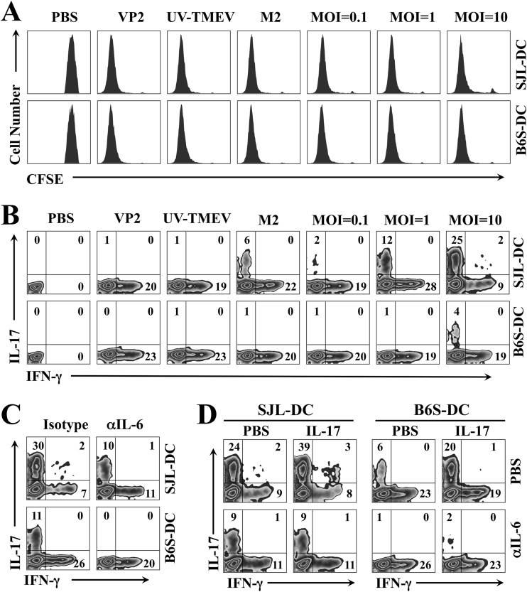 FIG 6