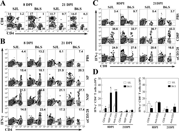 FIG 3