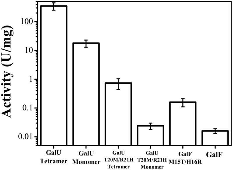 FIGURE 2