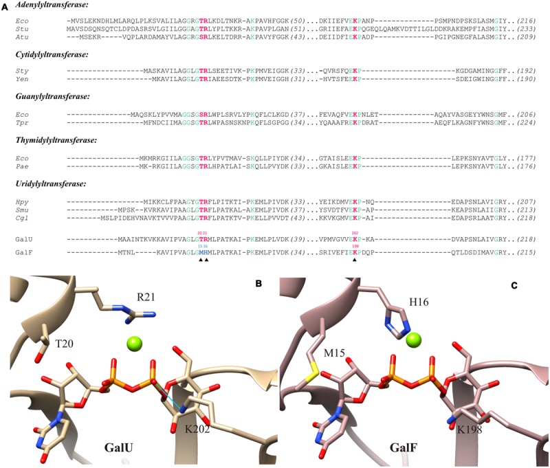 FIGURE 3