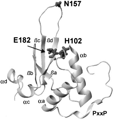 FIG. 7