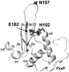 FIG. 7