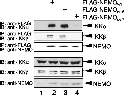 FIG. 8.