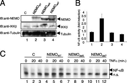 FIG. 9.