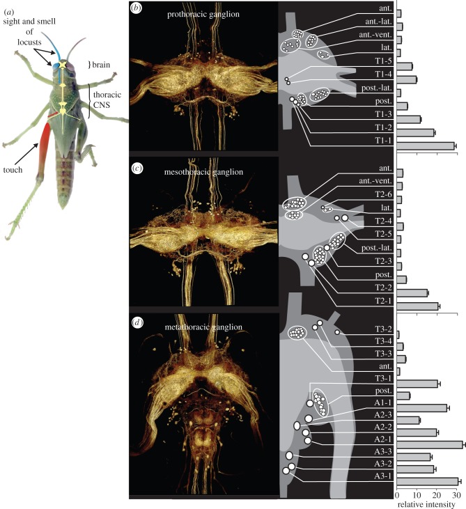 Figure 1.