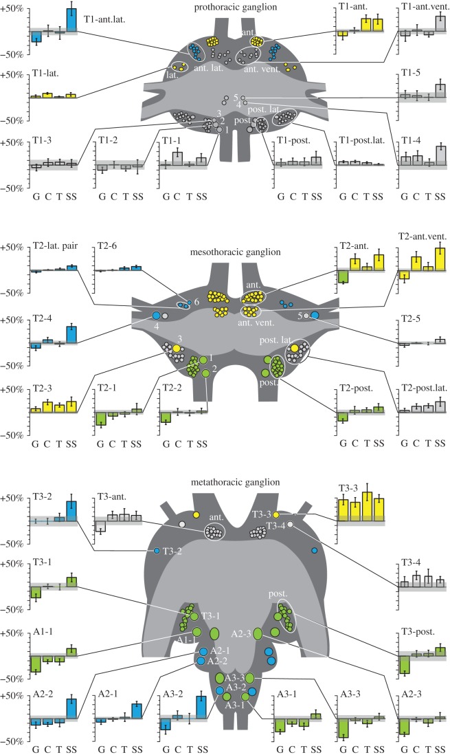 Figure 2.