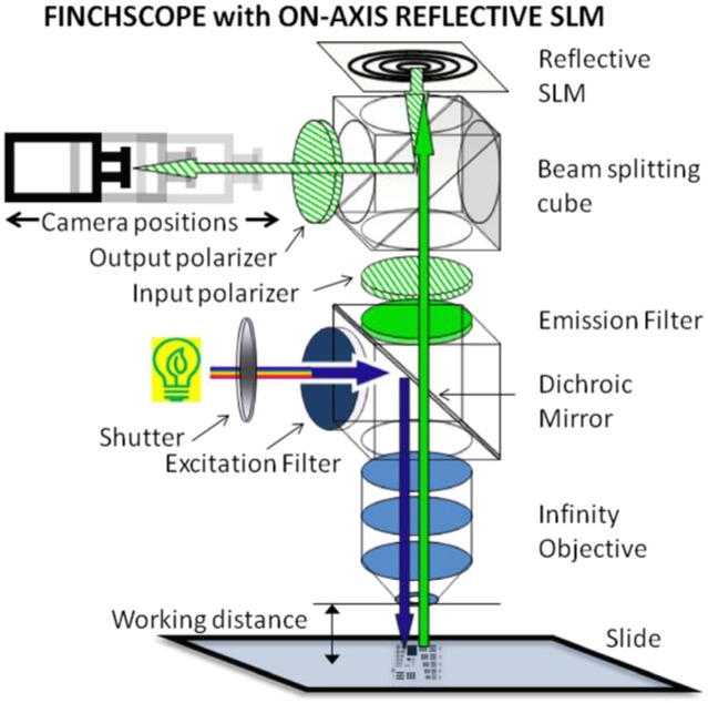 Fig. 1