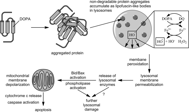 FIG. 5.