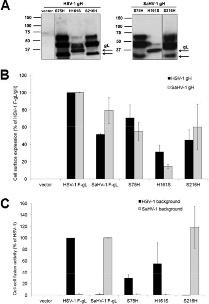 FIG 7