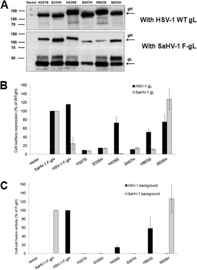 FIG 5