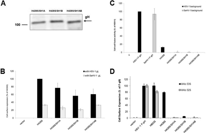 FIG 6