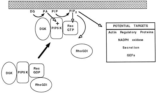 FIG. 9