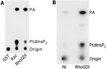 FIG. 6
