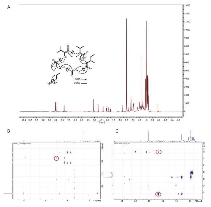 Figure 5—figure supplement 1.