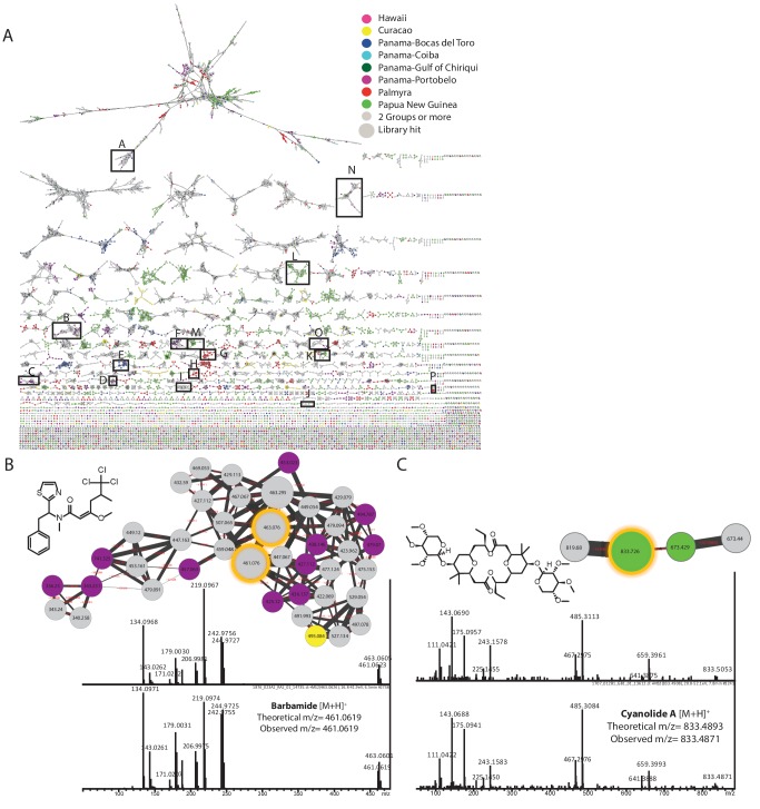 Figure 3—figure supplement 1.