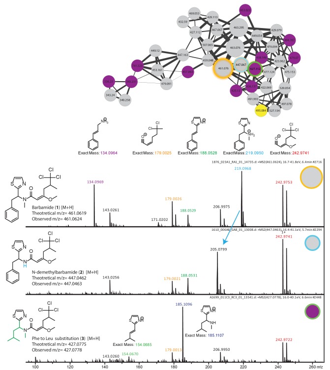 Figure 3—figure supplement 3.